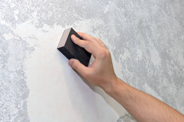 Best Airborne Mold Testing  in Hauppauge, NY