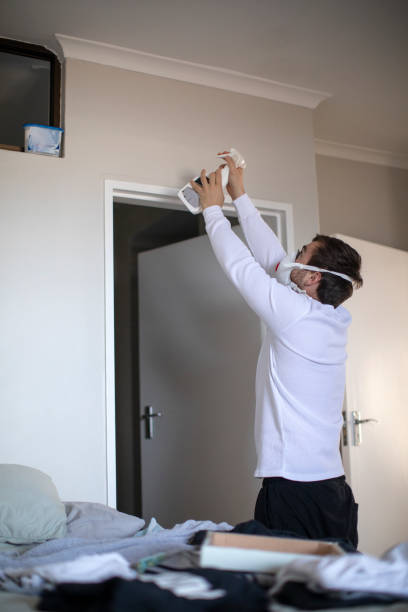 Best Forensic Mold Investigation  in Hauppauge, NY