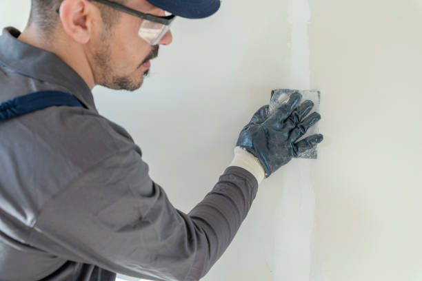 Best HVAC Mold Inspection and Cleaning  in Hauppauge, NY