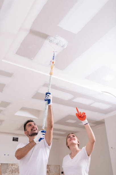 Best Mold Documentation for Insurance Claims  in Hauppauge, NY