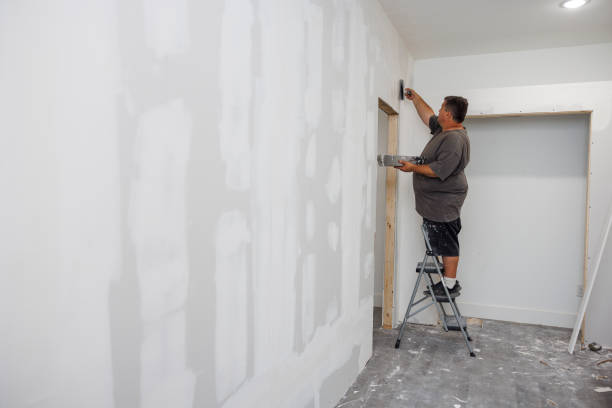 Best Emergency Mold Remediation  in Hauppauge, NY