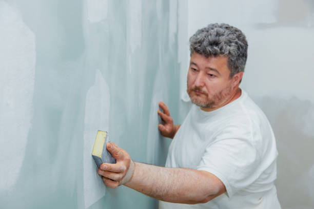 Best Mold Damage Restoration  in Hauppauge, NY