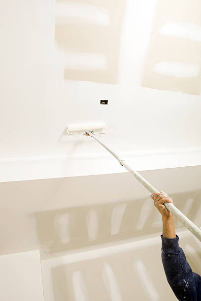Mold Remediation for Rental Properties in Hauppauge, NY