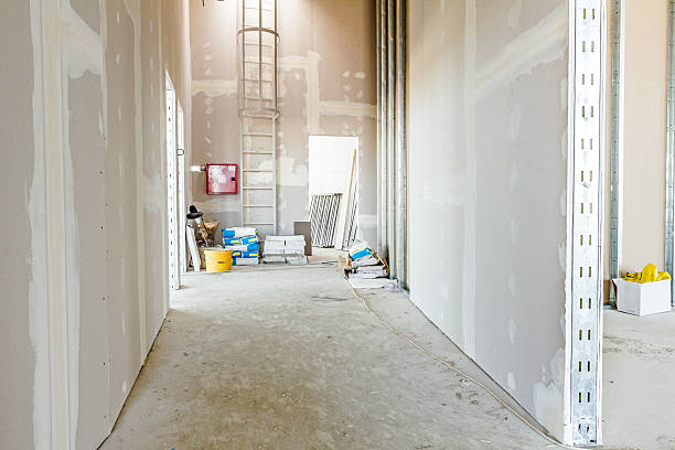 Best Post-Construction Mold Inspection  in Hauppauge, NY